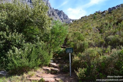 Table Mountain