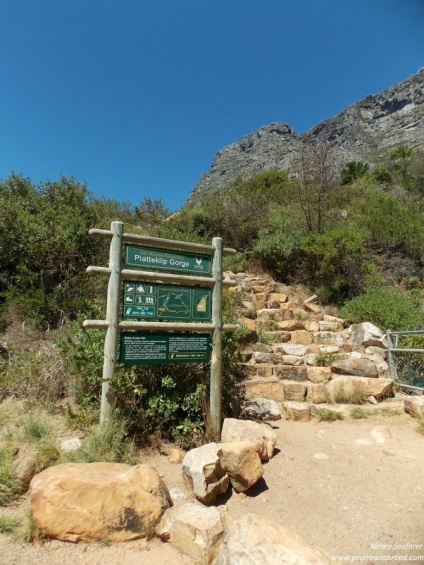 Table Mountain