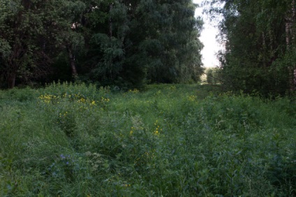 Strogino moskvoretsky parc, autotravel