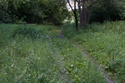 Strogino moskvoretsky park, autotravel