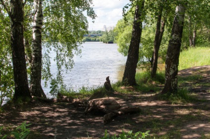 Strogino moskvoretsky parc, autotravel