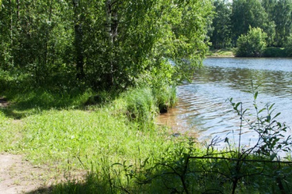 Strogino moskvoretsky parc, autotravel