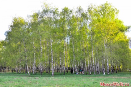 Stânca de lunci Stroginsky - plimbări în Moscova, plimbări