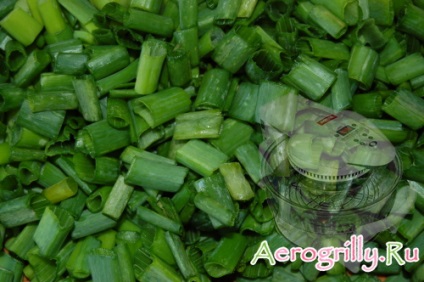 Ceapa uscata verde - retete pentru aerogrill, recenzii si instructiuni pentru aerogrills