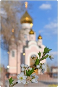 Templul Sfântului Vladimir - bucuria și tristețea sunt inseparabile în această lume
