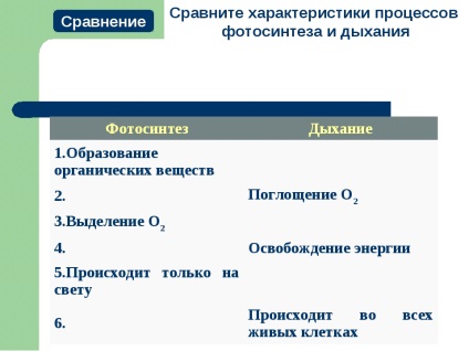 Similitudinea scheletului mamiferelor umane și animale ca dovadă