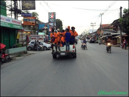 Transportul pe Samui - despre samui