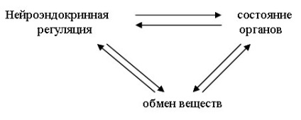 Acnee, acnee, psoriazis - un tratament cuprinzător al bolilor dermatologice, acnee