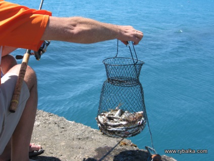 Ulya, blogul lui sershyalta, rețeaua socială de pescari și vânători