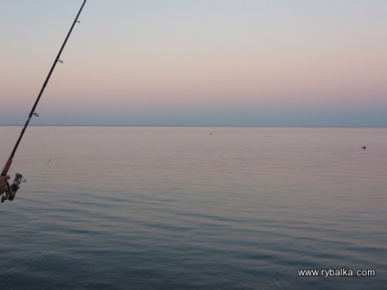 Ulya, sershyalta blogja, a halászok és vadászok szociális hálózata