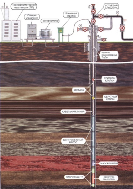 Instalații de pompe centrifuge electrice submersibile (etsen), pompe și echipamente compresoare