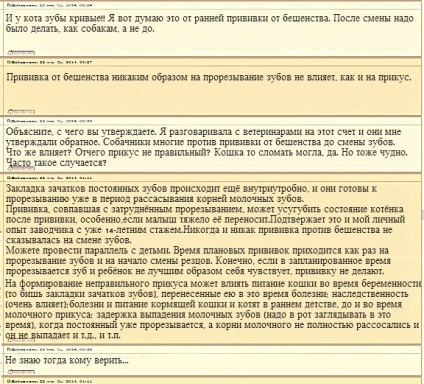 Vaccinarea pisicilor și pisicilor în timpul unei schimbări a dinților - ceea ce trebuie să știți