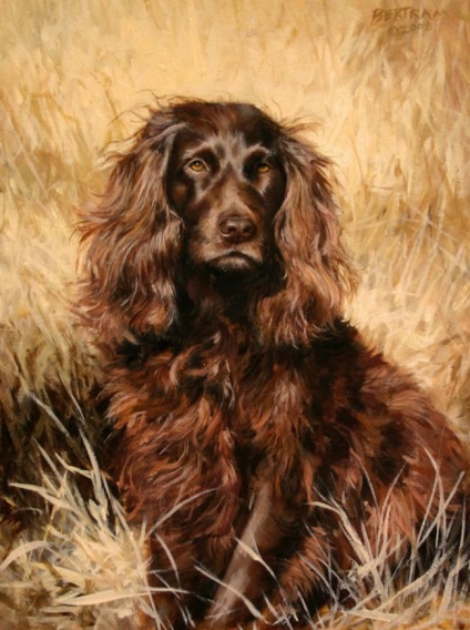 Câini superba în pictura boba bertram