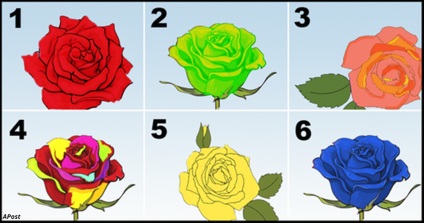 Válassza ki a legszebb rózsát - és megmondjuk a személyiségének fő titkát