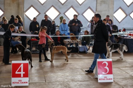 Vinnytsia centru regional de câine de reproducție ksu kanis