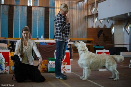 Vinnytsia centru regional de câine de reproducție ksu kanis