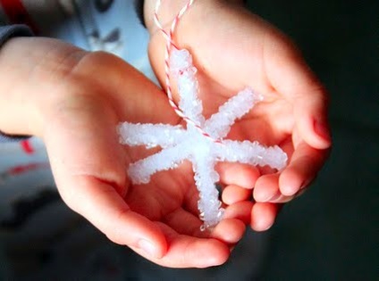 Növekvő kristály hópelyhek (növekvő kristályok a sótól)) - a fiú ajándéka