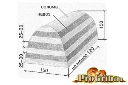 Fűrészpor és szalma technológia és tippek