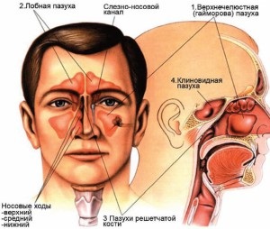 Congestie nazală - cauze, simptome și remedii folclorice pentru congestie nazală