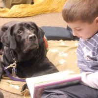 A gyermekes családban élő állatok tanítják a gyermeket, hogy gondoskodjanak a kutyáról