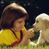 Animalele din familie cu copilul învață copilul să aibă grijă de câine