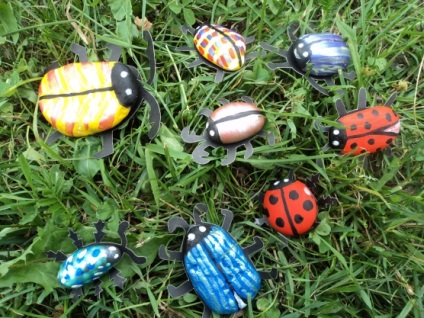 Beetles din pietre