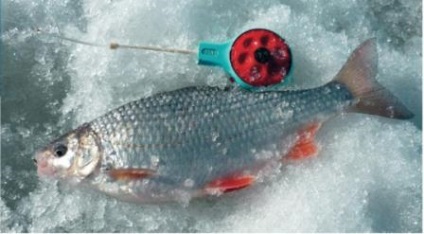 Tijă de pescuit de iarnă cu leșie detașabilă
