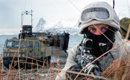 Norvegienii știu rusul spunând că pisica își zgârie scrutinul militar