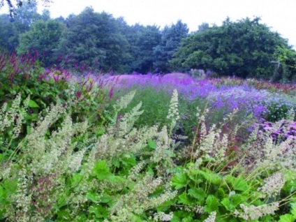 10 consilii pentru amenajarea peisajului natural