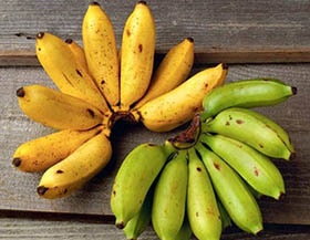 12 Motive pentru a mânca bananele zilnic, 1000 de secrete