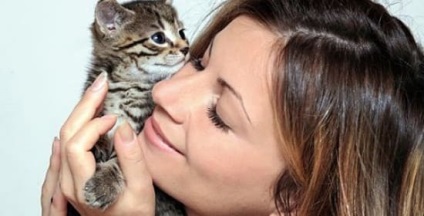 Allergia macskáknak (allergiás nátha kezelésére)