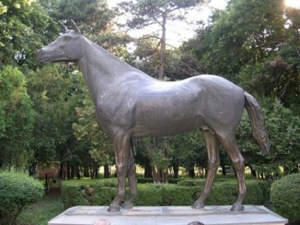 Aniline - cel mai faimos concurent de curse al URSS - un site despre cai