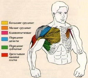 Армійський жим і його варіанти, техніка виконання з фото і відео