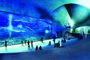 Ideea de afaceri de a construi un oceanarium, o planetă de neptune - construcția, proiectarea acvariilor