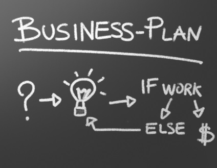Plan de afaceri inițial