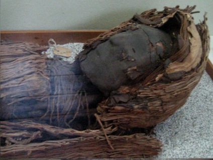 Ce nu știam despre mumii, amestec