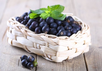 Черно ползи и вреди от френско грозде, приложение в медицината