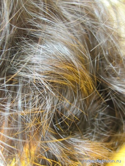 Grupul Crossfashion - concepții greșite despre vopsirea coloranților de păr, tehnici, costuri