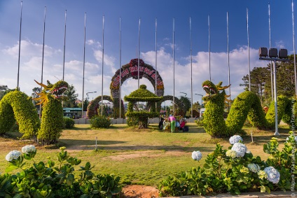 Dalat - vietnameză paris sau felicitări pe 8 martie!