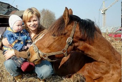 A lélek ökológiája vagy a hat ló megmentésének története, a legjobb történet, 2011