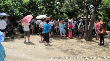 Excursii pe insula Hainan, jurnal de neparticipare
