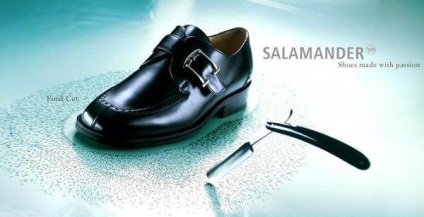 Pantofi de salamandră marcați (salamandru), îngrijirea potrivită și recenziile clienților