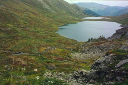 Pășuni Lacuri pe Altai