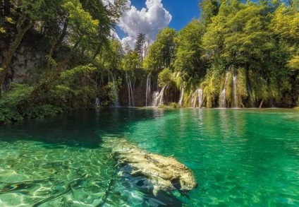 Photo wall-paper szúnyog - vásárolni az online boltban Moszkvában