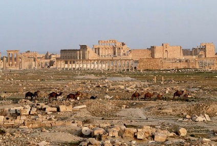 Orașele care s-au transformat în ruine pustii (15 fotografii) - timp pentru odihnă