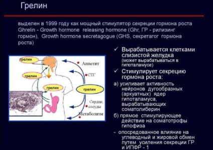 Ghrelin (hormonul foamei) ce este, cum să-l diminuezi și ce