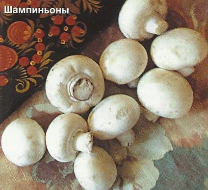 Ciuperci în țară - grădini din Siberia