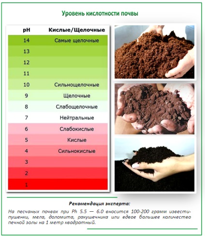 Limitarea solului acid atunci când este efectuată și cum trebuie făcut în mod corespunzător