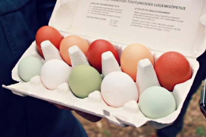 Care este diferența dintre ouăle de pui de culoare brună și albă
