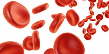 Cum să crească leucocitele din sânge